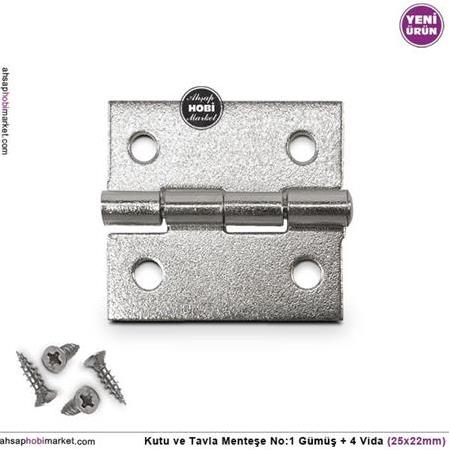 Kutu ve Tavla Menteşe No 1 Gümüş (25x22mm) Vidalı