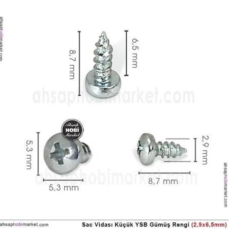 Sac Vidası Küçük Boy YSB (2,9x6,5mm) 10 Adet