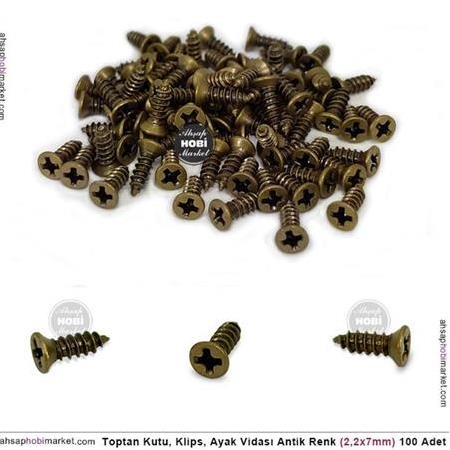 Toptan Antik Renk Çelik Vida 100 Adet (2,2x7mm)