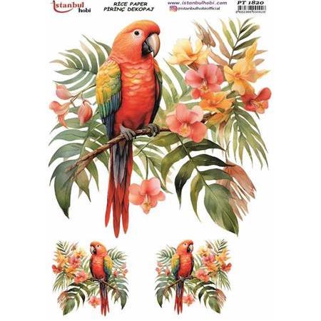 Papağan Çiçek Desenli Pirinç Dekopaj - Model : PT 1820