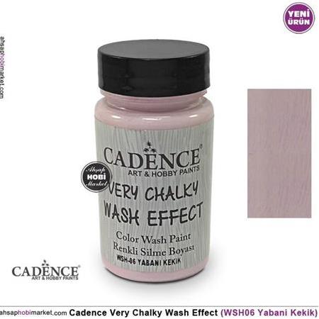 Cadence Wash Effect WSH06 Yabani Kekik 90ml