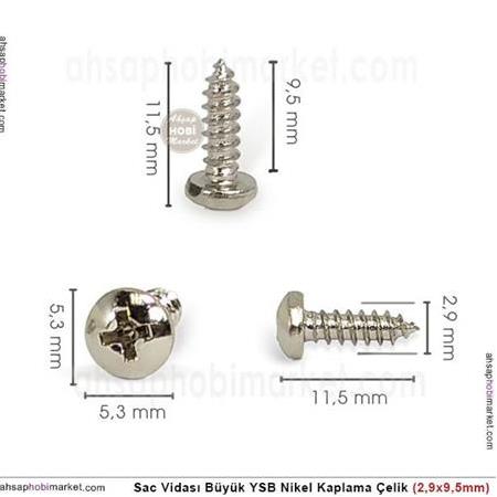 Sac Vidası Büyük YSB Çelik Nikel (2,9x9,5mm) 10 Adet