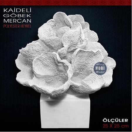 Kaideli Göbek Mercan Heykeli (25x25 cm) Ham Polyester