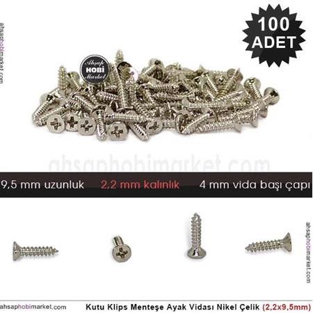 Kutu Klips Kutu Ayagi Vidası Nikel 100 Adet (2,2x9,5mm)